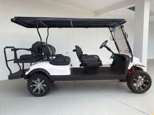 Renegade White Recon 6 Passenger Limo Golf Cart 04